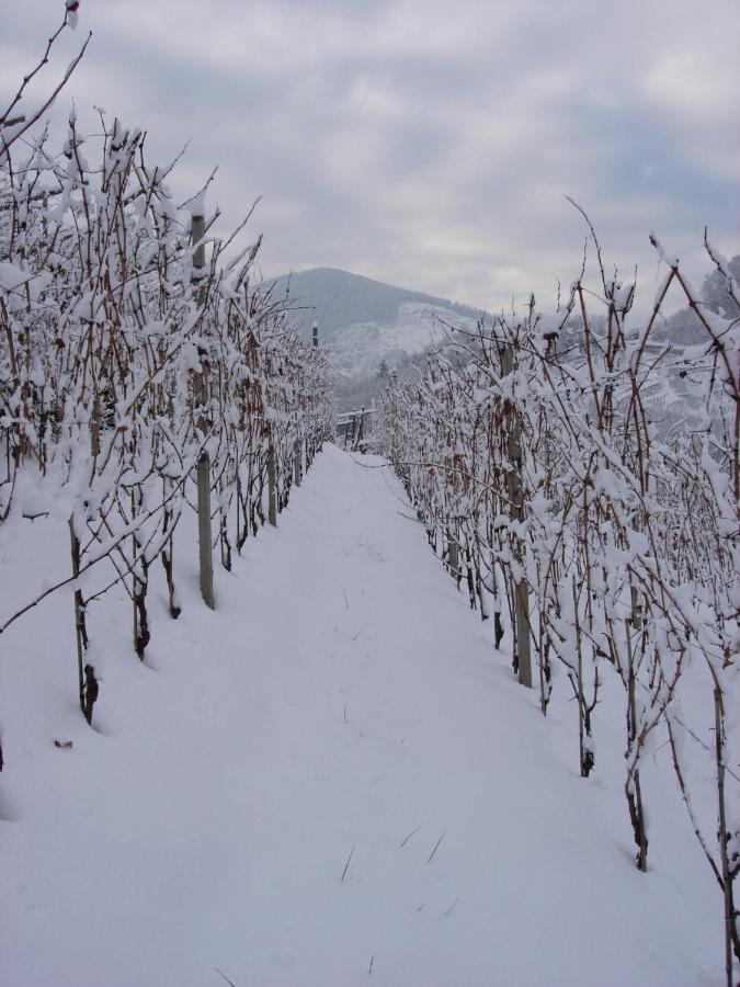 B&B San Valentino Giovo Buitenkant foto